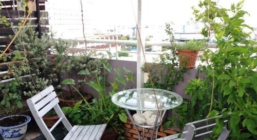 Hotel Kim Lan 2*